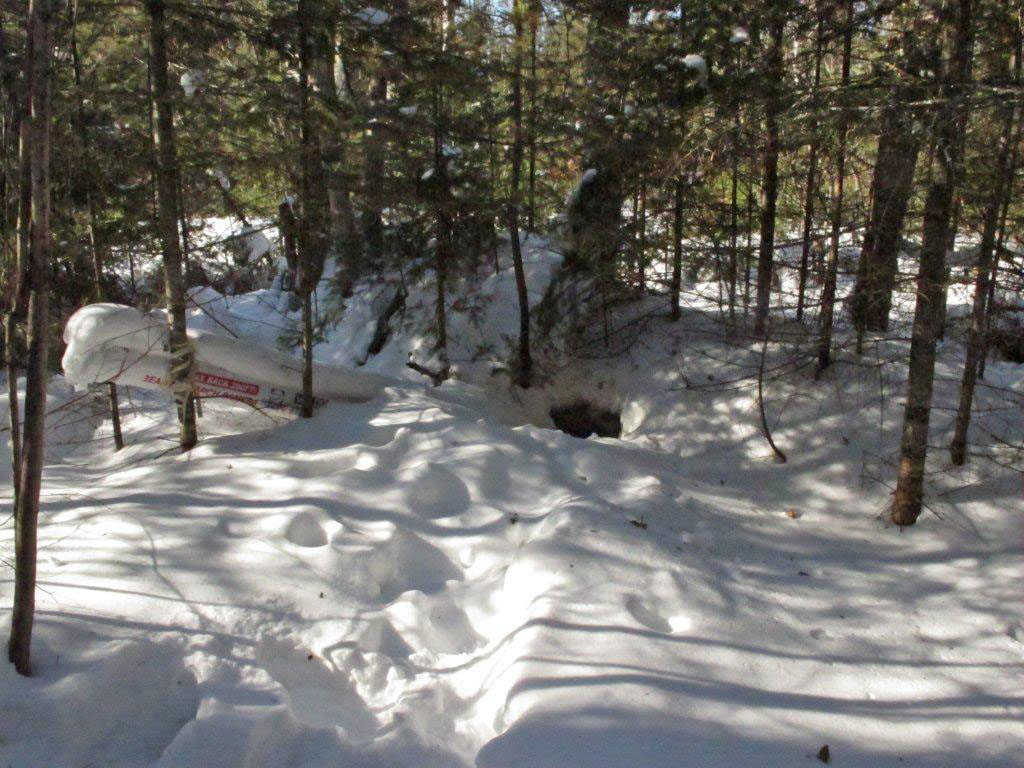 Tracks of visitor to Jewel's den