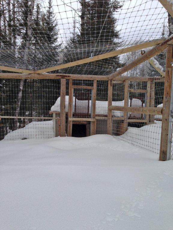 Honey and Lucky's dens