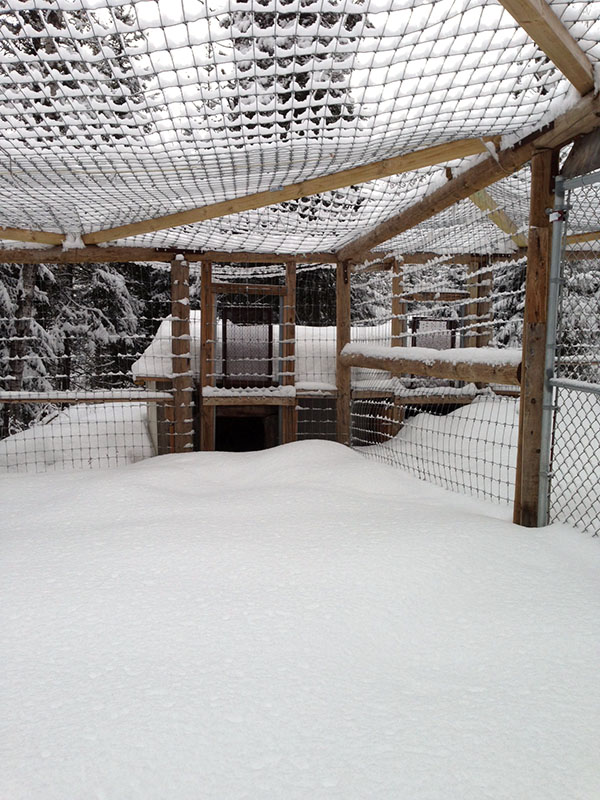 Honey's den - March 10, 2013