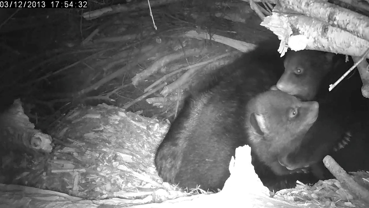 Can you tell male from female?