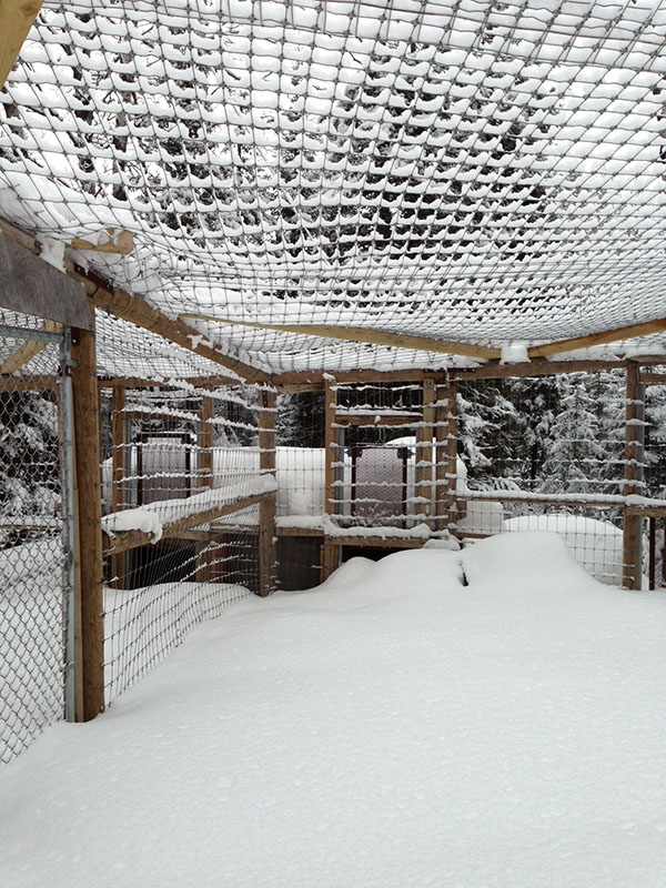 Lucky's den entrance nearly buried