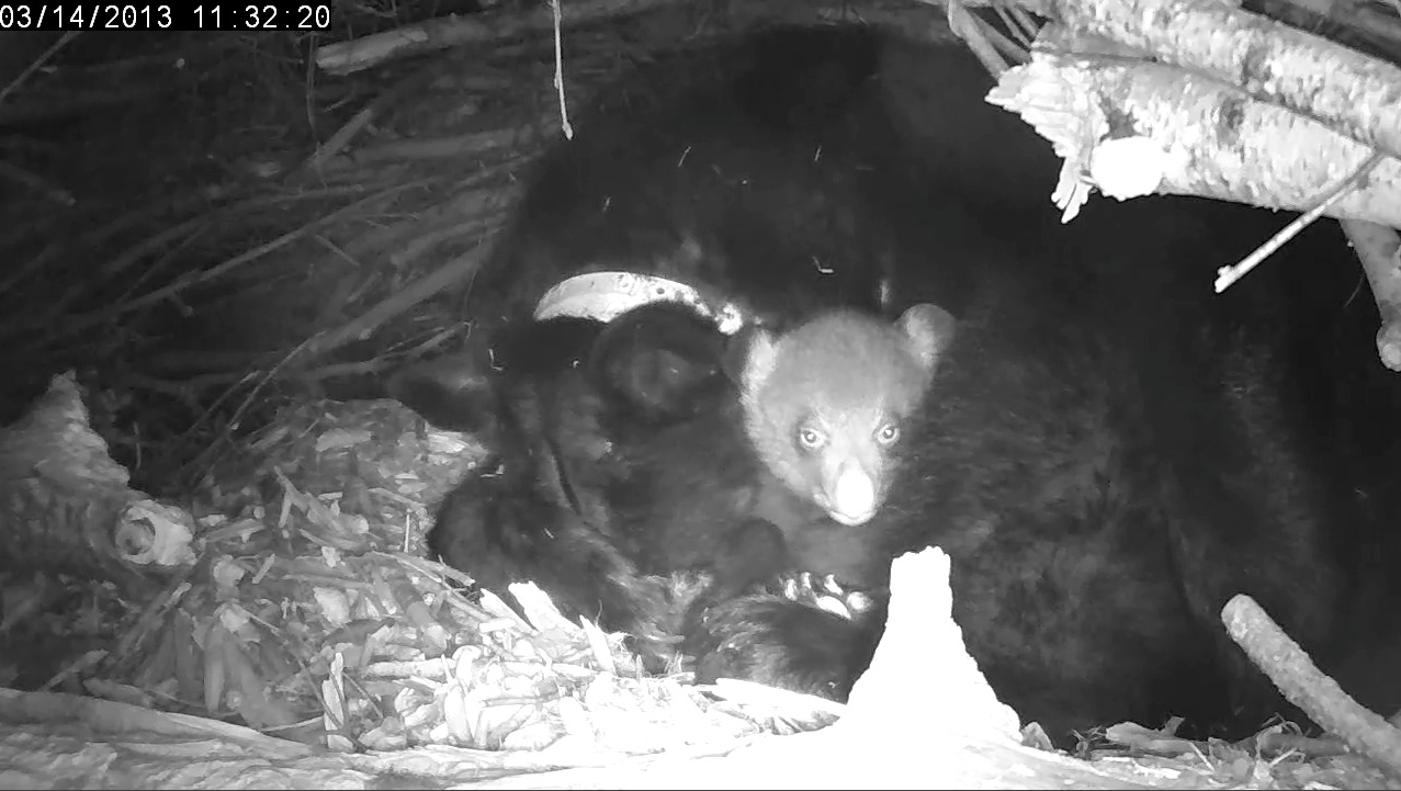 When will Mom wake up?