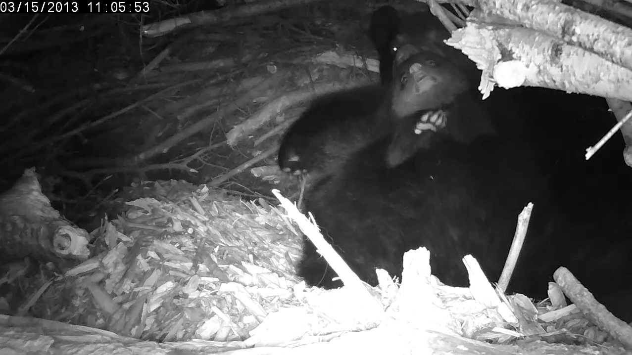 "Not so fast, buddy!"