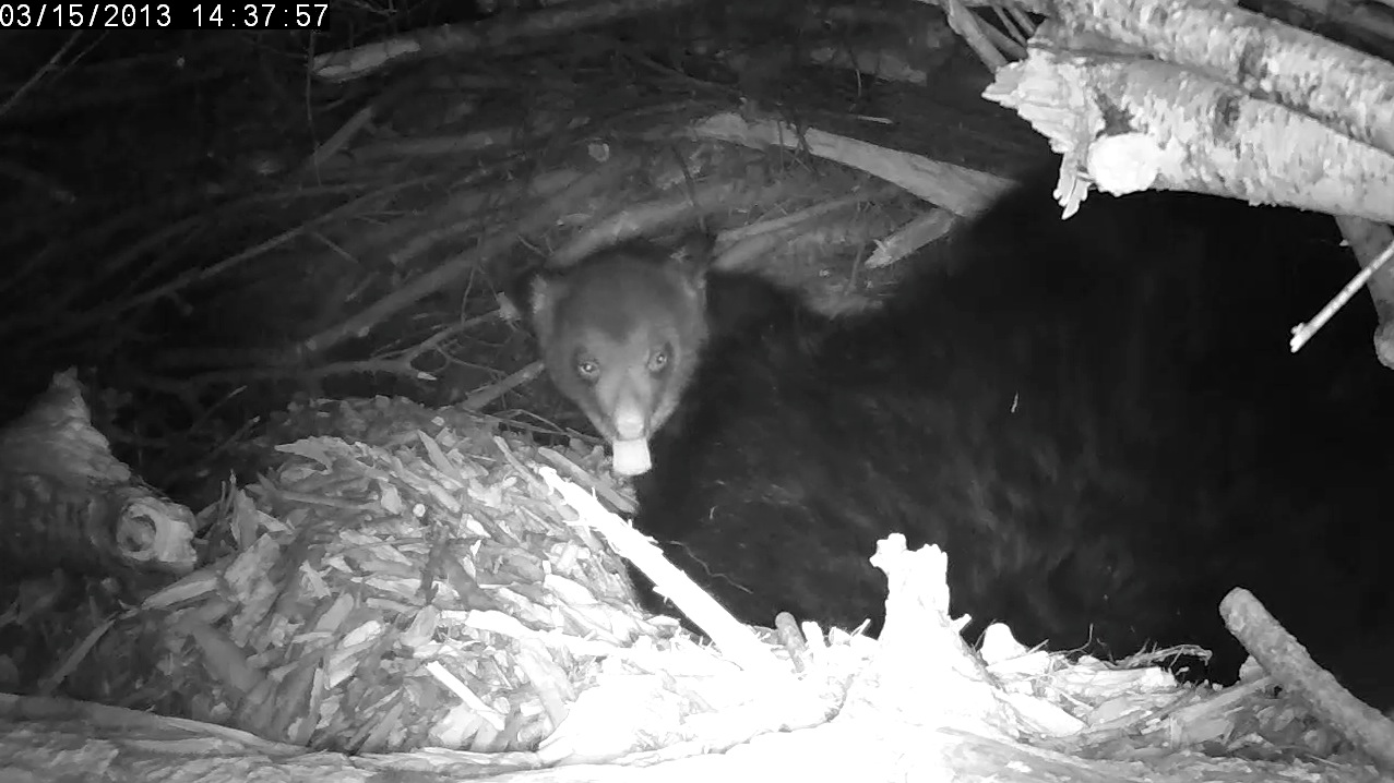 Someone always wrecks the picture (notice V)