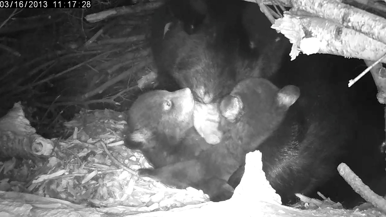 Lily gives you and joins in