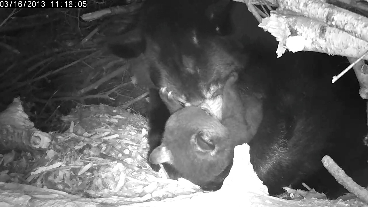 Female gets special attention