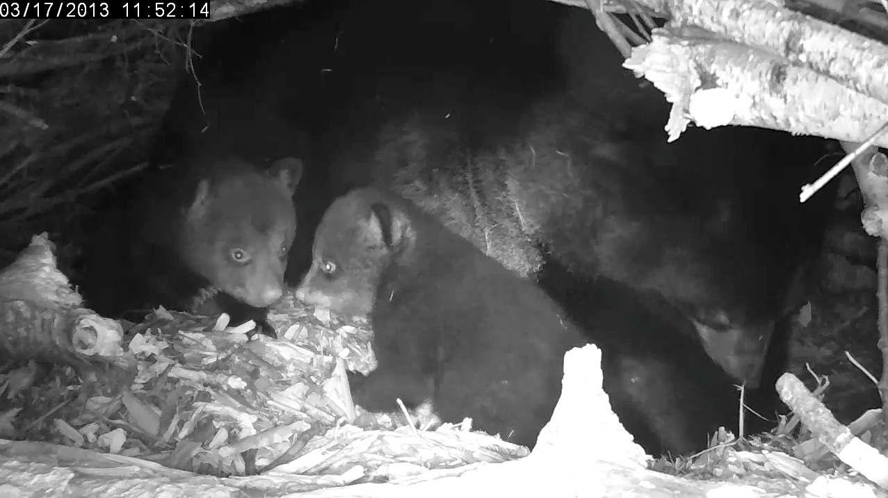 Lily taking care of 'business'