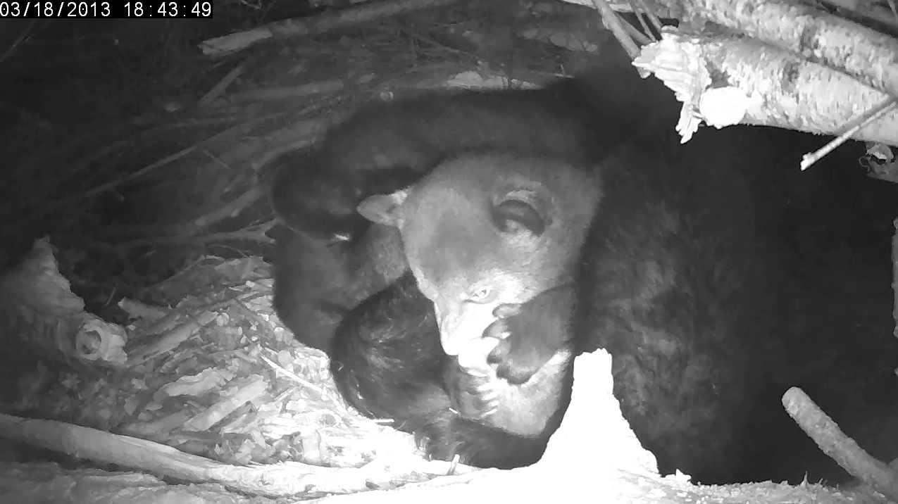 Play can be ruthless!