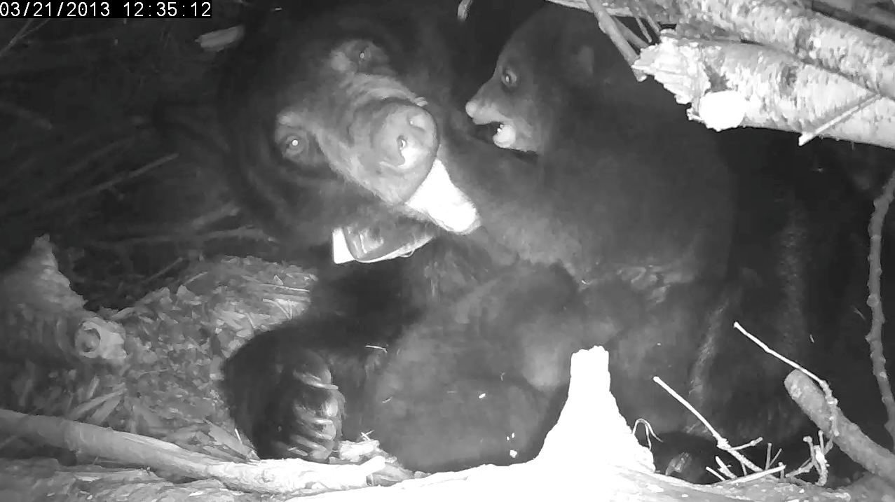 Lily joins in the play