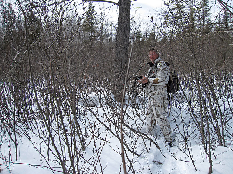 Faith's den at the base of a white pine
