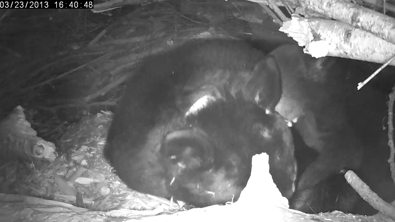 Lily has had enough!