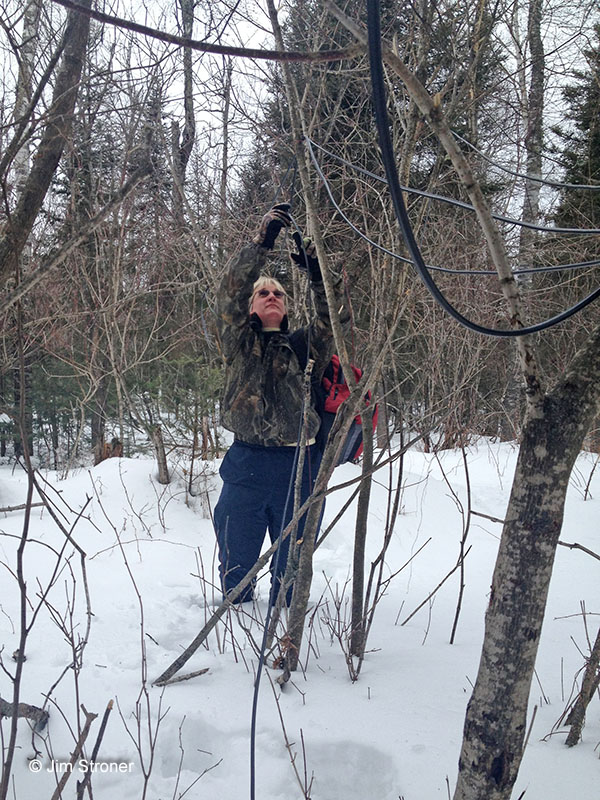 Bec strings cables for Jewel's PTZ