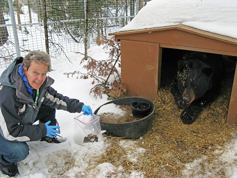 Judy Thon retrieves Ted's scat