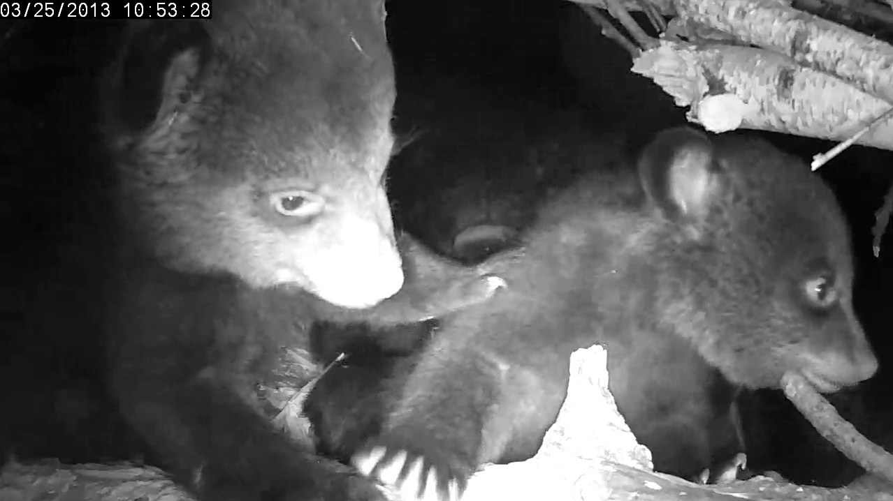 Eli and Ellie up to mischief