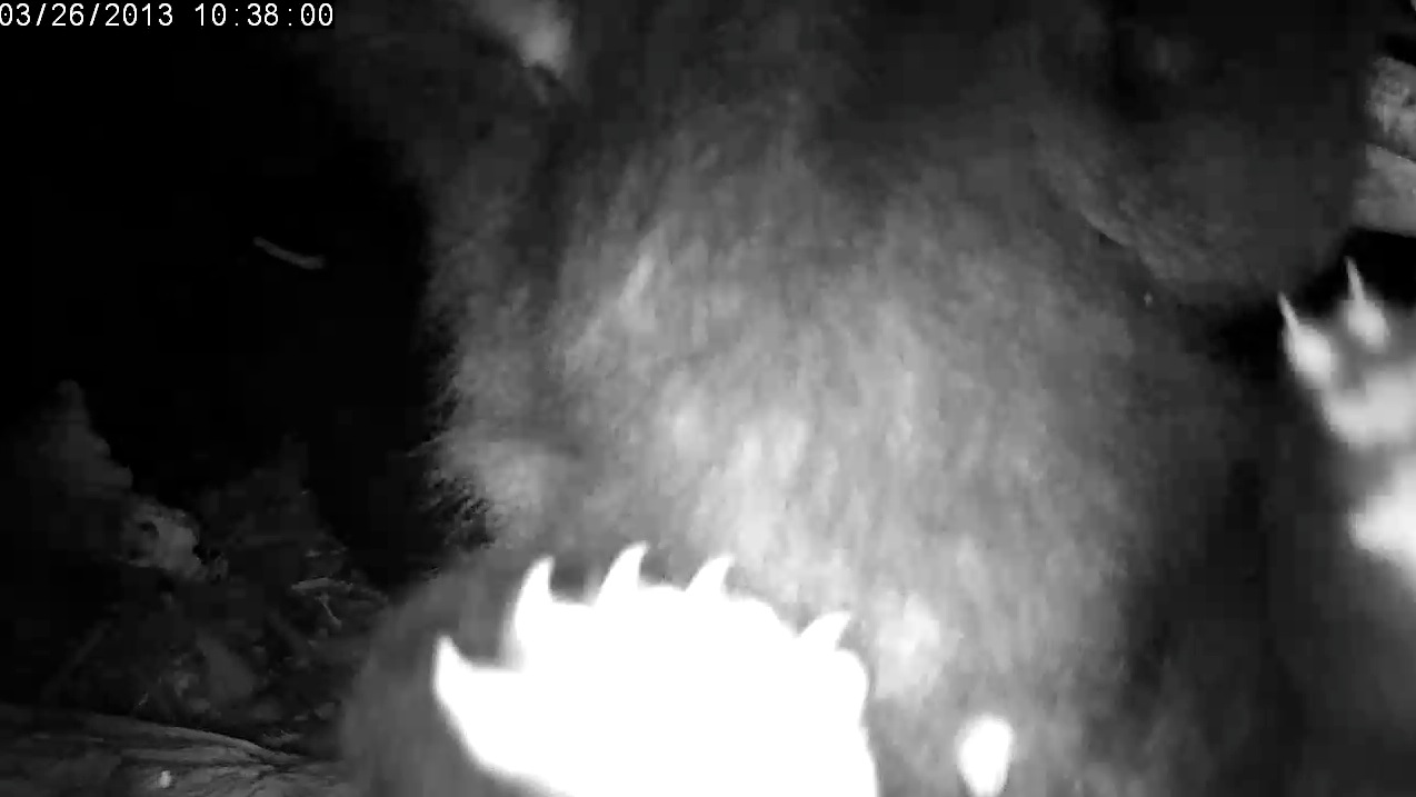 Eli hangs from the rafters