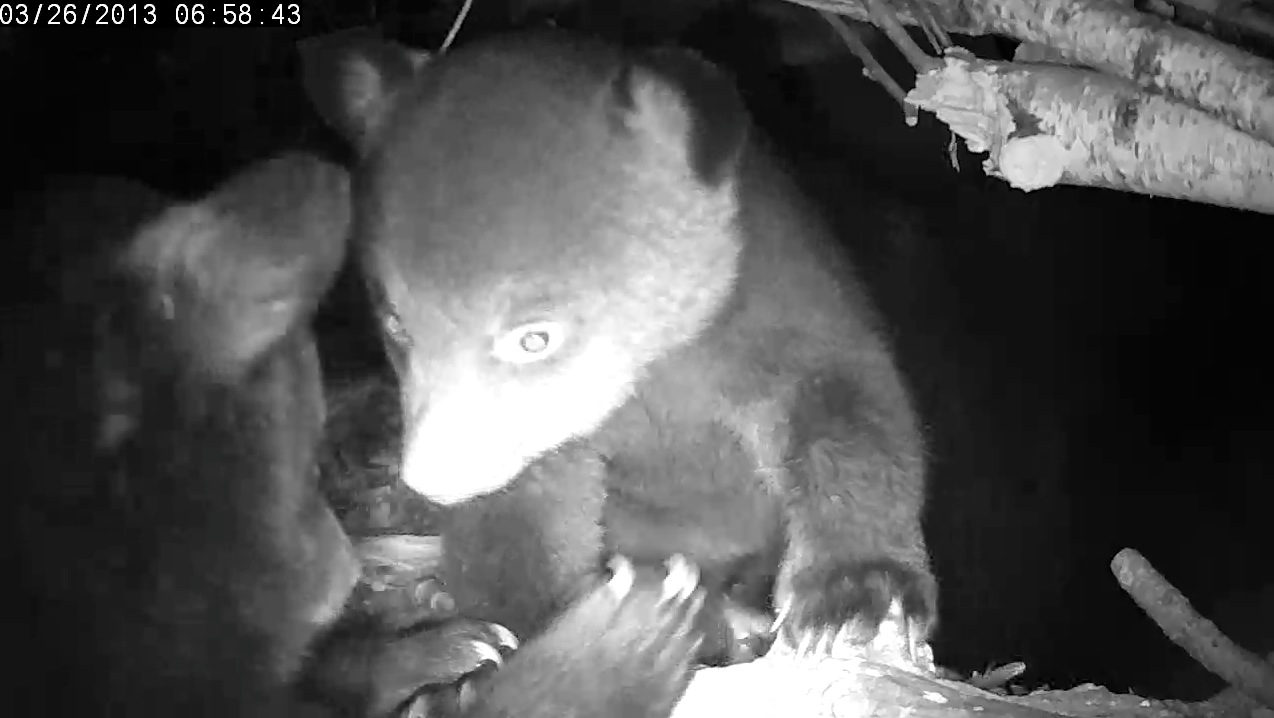 Ellie looks down at Eli