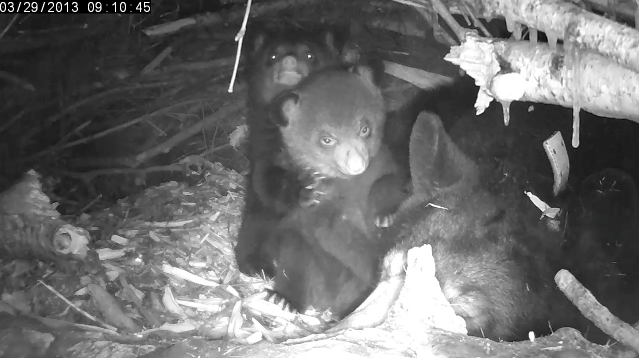 Eli peers over Ellie