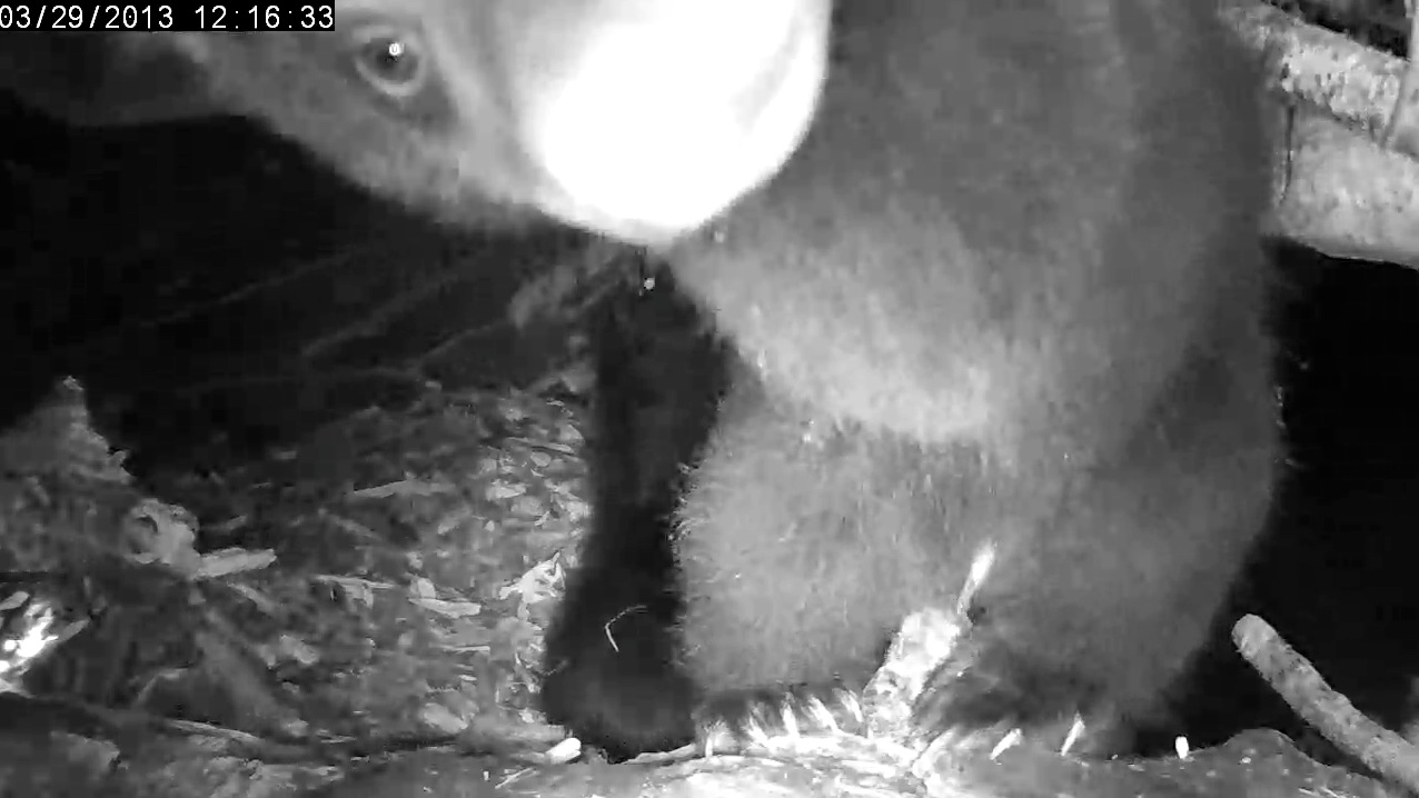 Eli inspects the camera