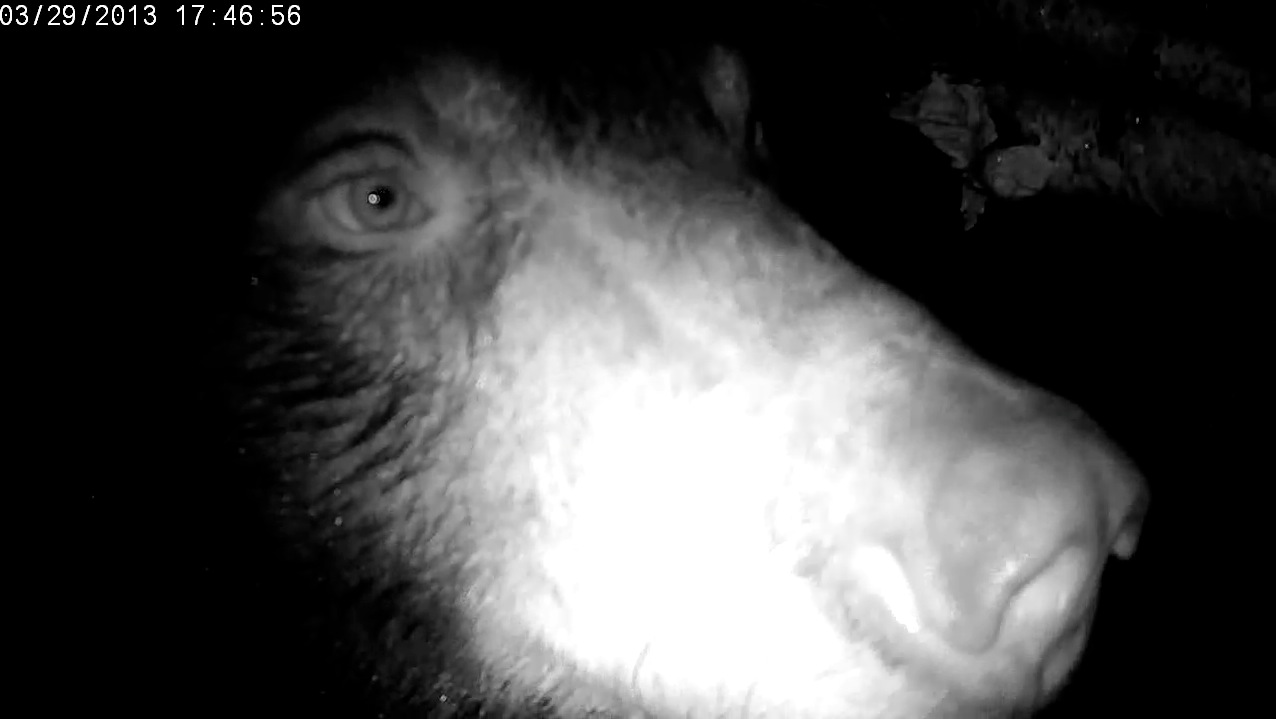 Lily looks toward the entrance