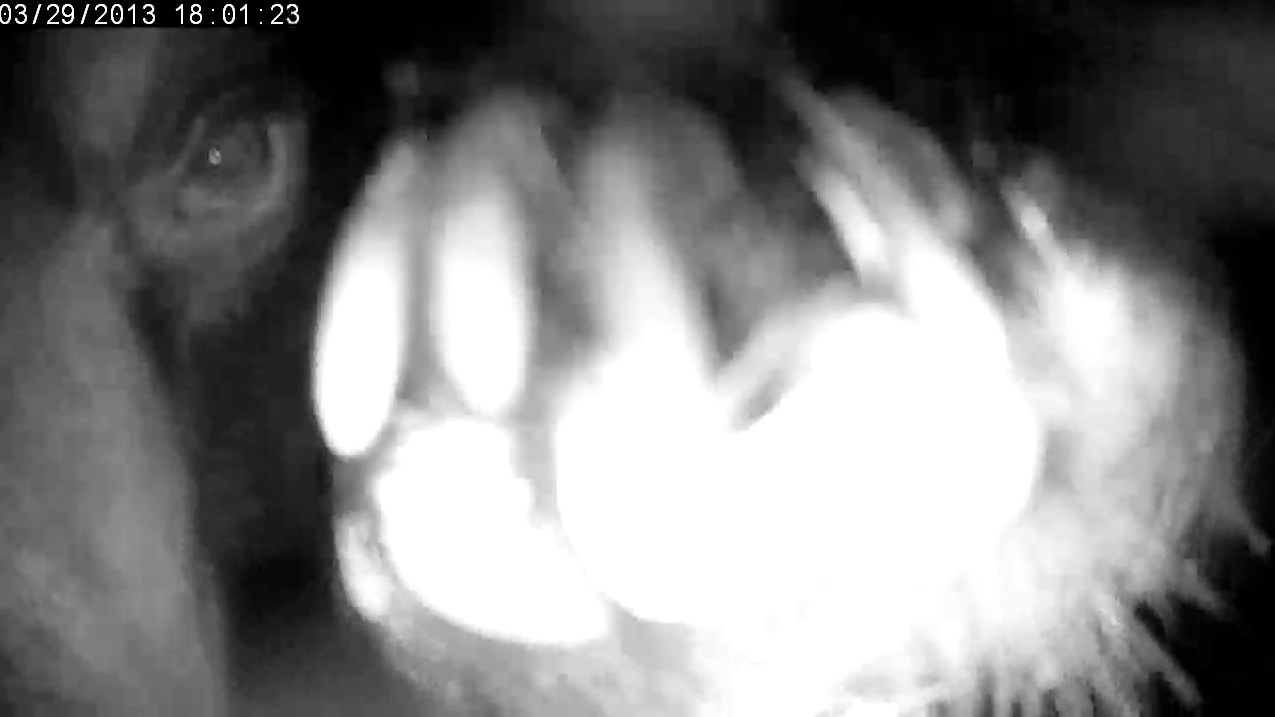 At last, Lily messes with the camera