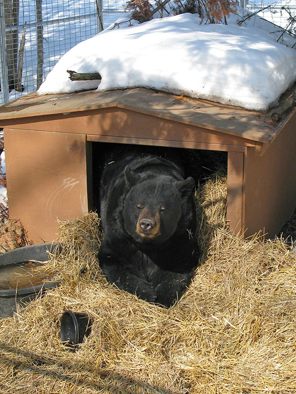 Ted surveys his good work