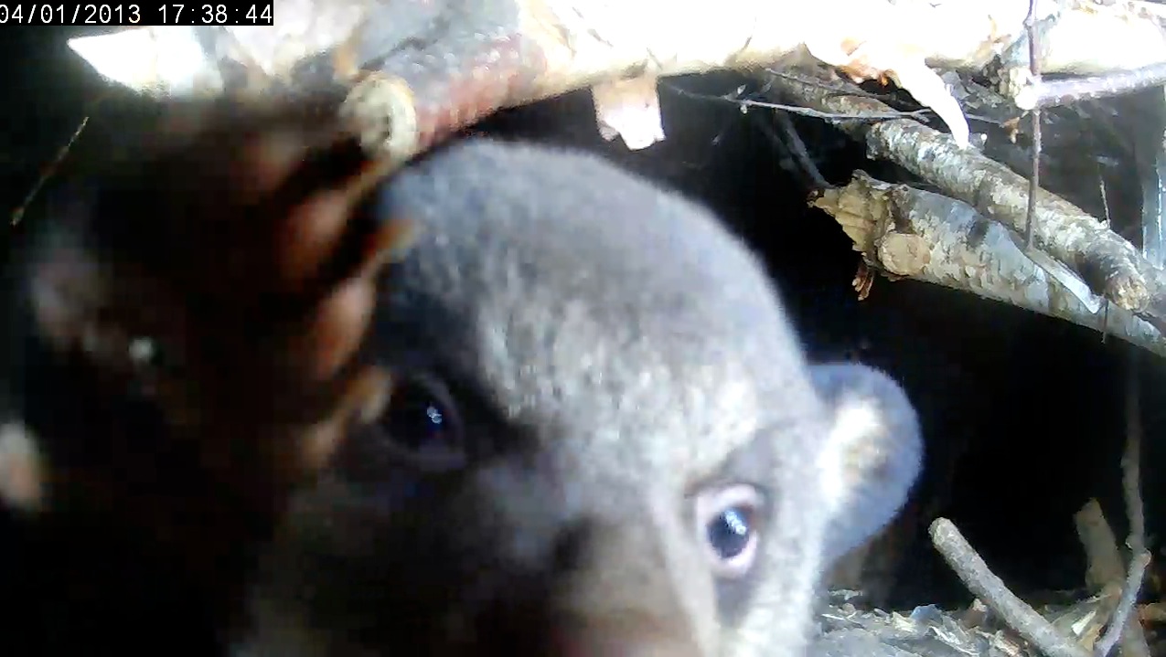 Ellie inspects the camera