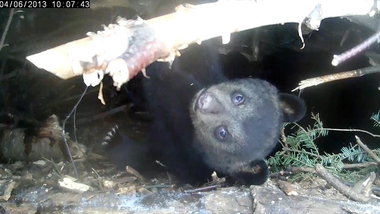 Eli just hanging out