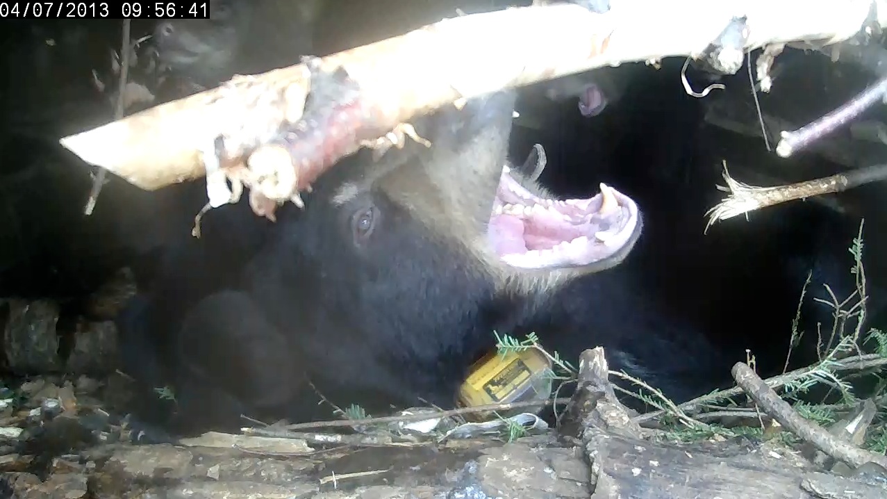 Big mouth...little mouth