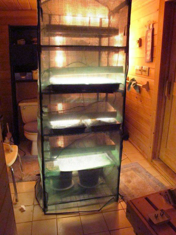 Future flowers for the Bear Center