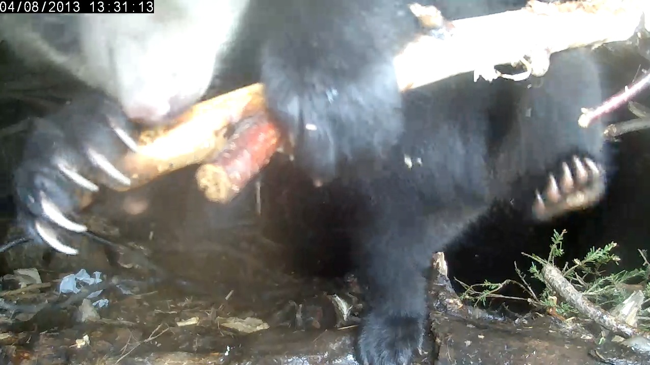 Practice makes perfect