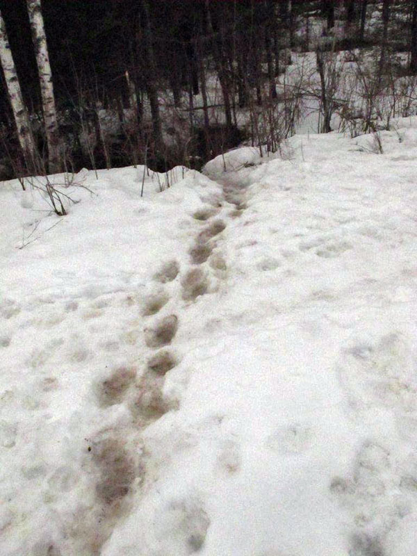 Tracks between ends of culvert