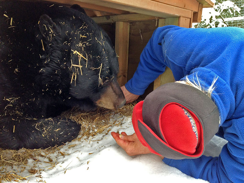 Lynn attempts to check Ted's footpads