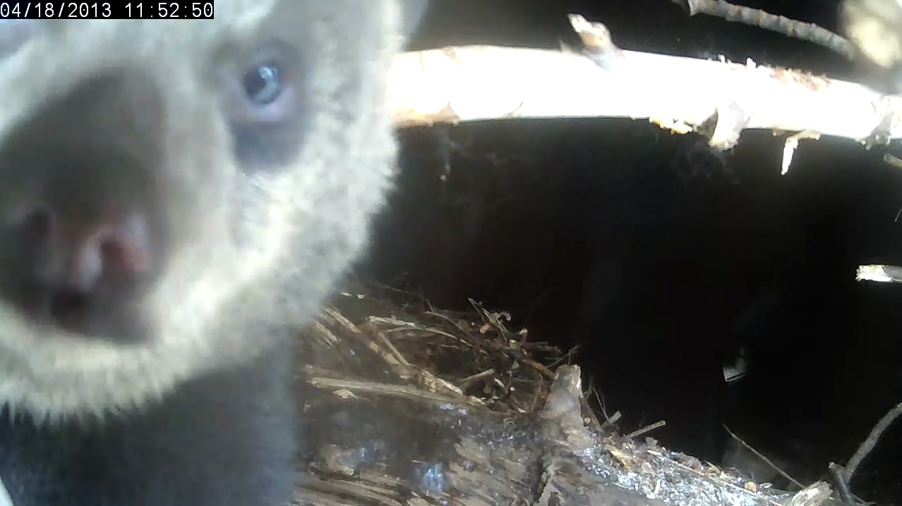 Ellie inspects camera lens