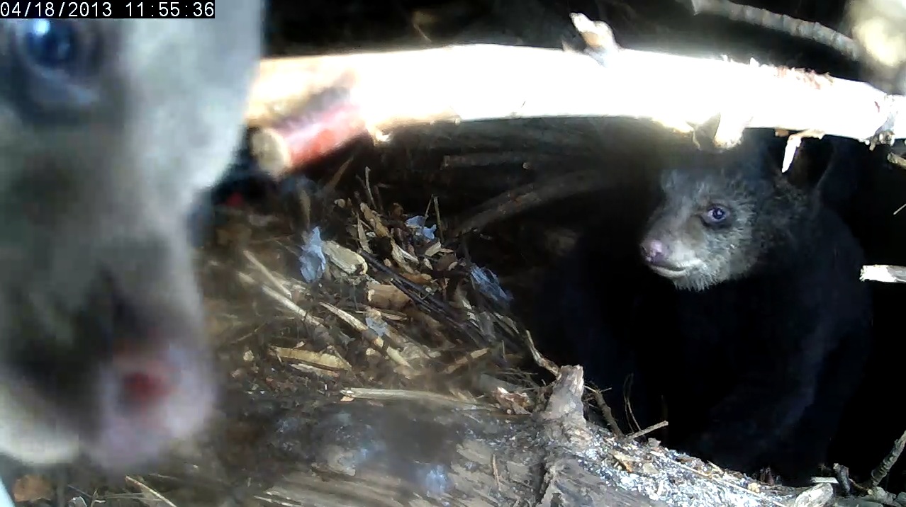 Ellie inspects her cleaning job