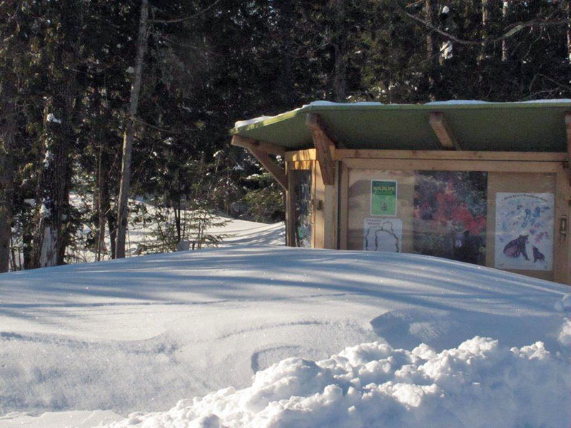 NABC Nature Trail is snowed in