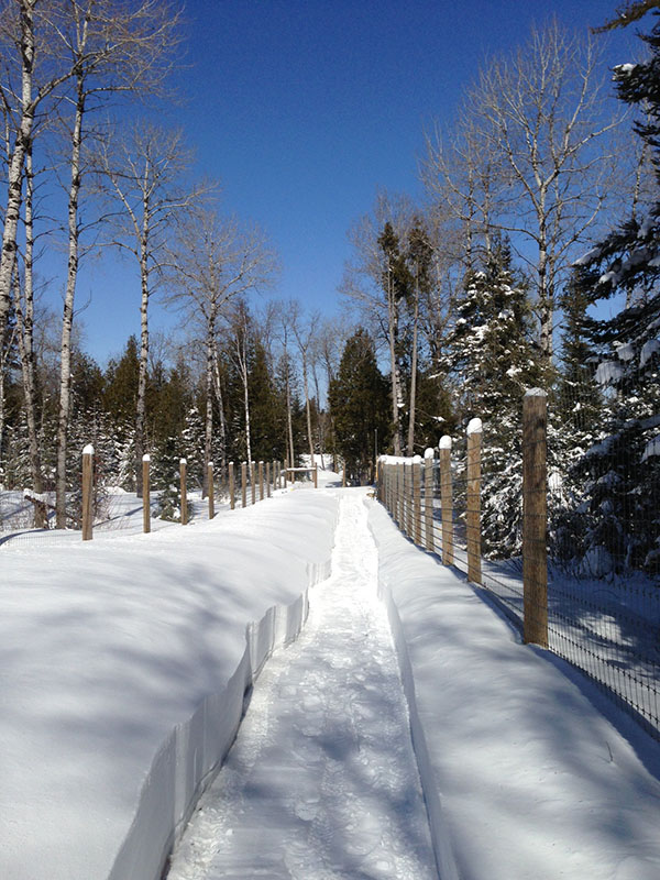 Path to small bear enclosures