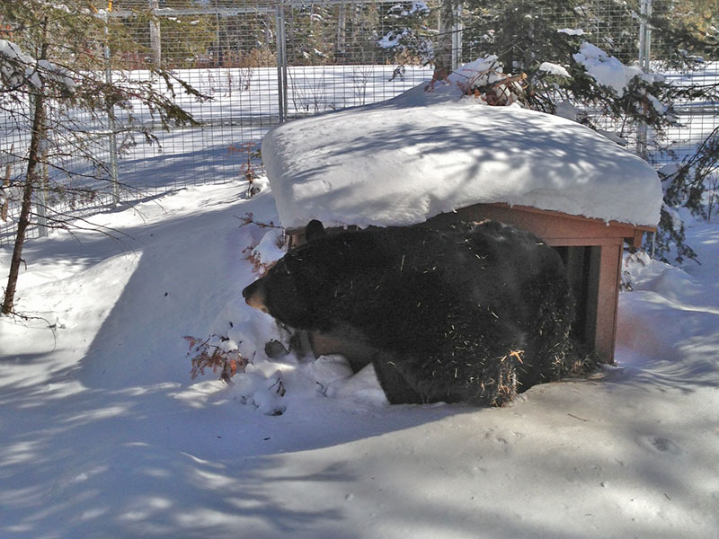 Ted doesn't know what to make of it all