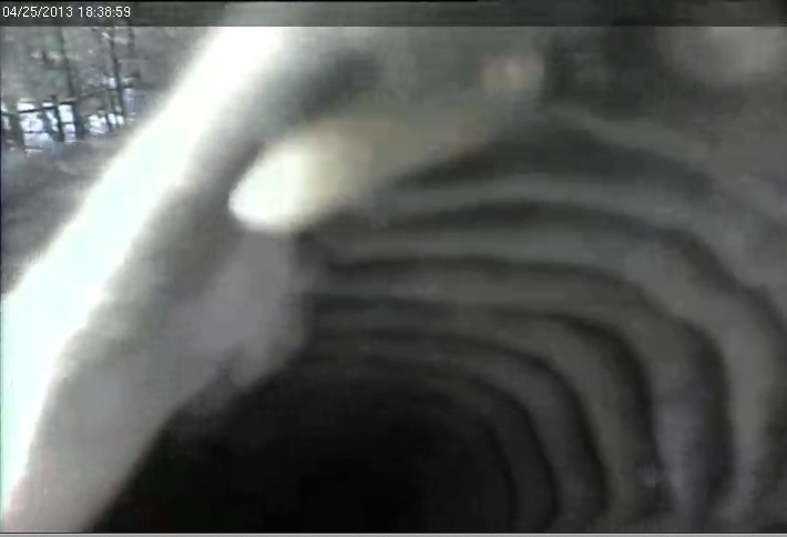 My...what big teeth she has