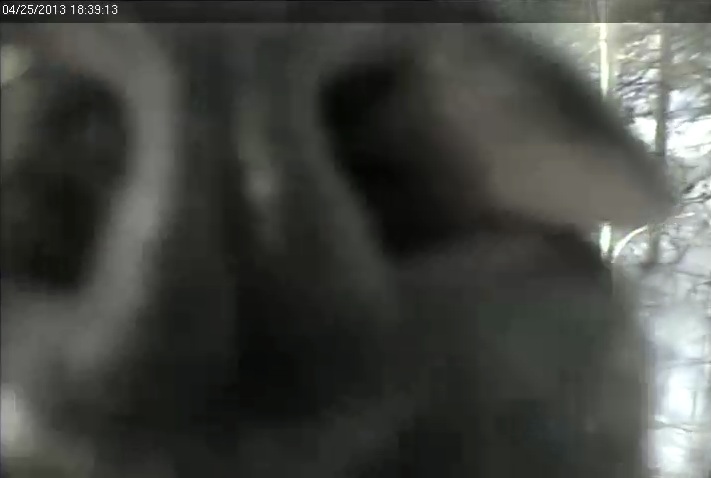 My...what a big nose she has!