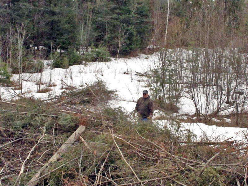 Larry begins work on WRI brush pile
