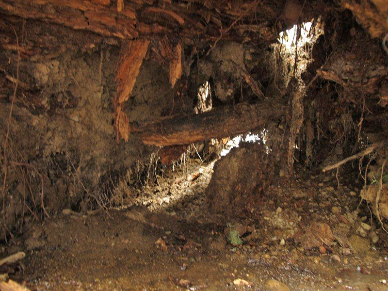 Back wall of Jewel's 2012 den collapsed