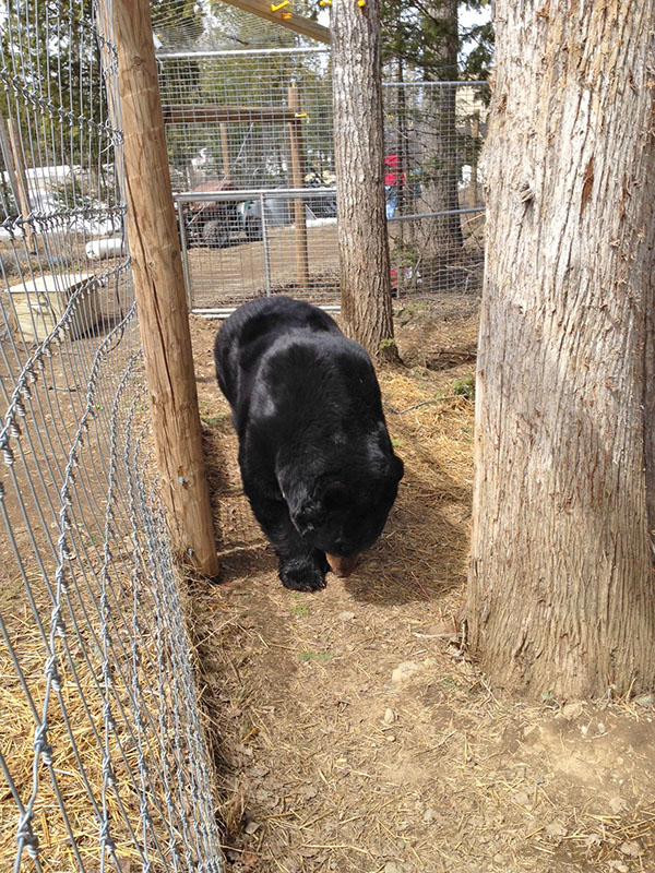 Ted checking out scents