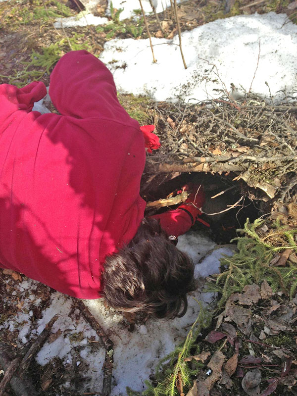 Reaching for Daisy's collar