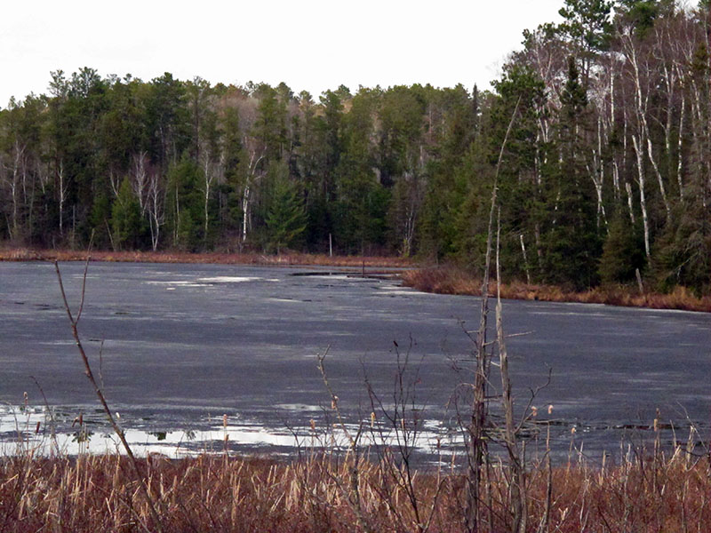 Black ice on Woods Lake