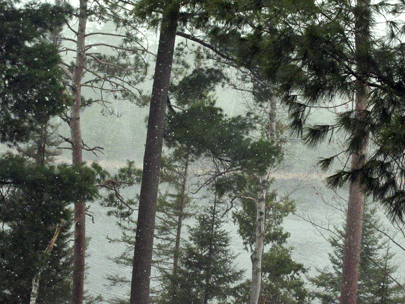 Brief blizzard obscures far side of Woods Lake