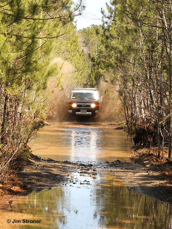 Jim is not easily discouraged