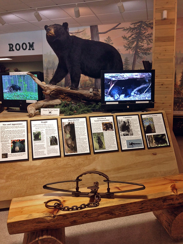 Old bear trap - May 20, 2013