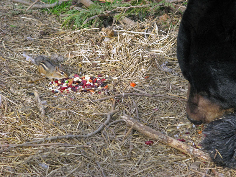 Ted has supper guest