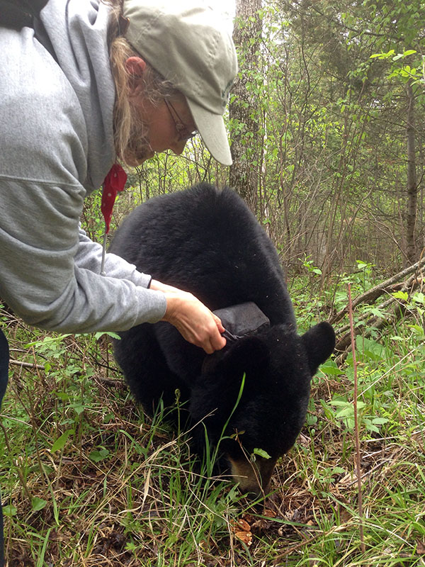 Lorie changes Ursula's batteries