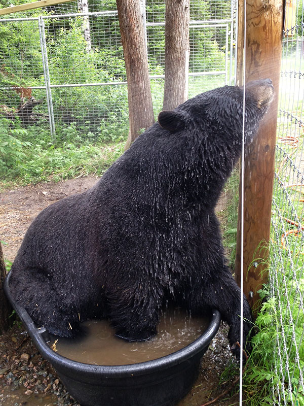 Ted enjoys a shower